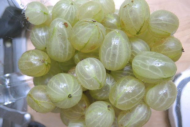 Stachelbeer Konfitüre mit Limoncello – gooseberry jam with limoncello ...
