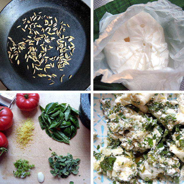 Marinierter Mozzarella mit Tomaten – marinated mozzarella with tomato ...