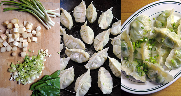 Kleine Asia Gemüse-Maultaschen – asian vegetable potstickers ...