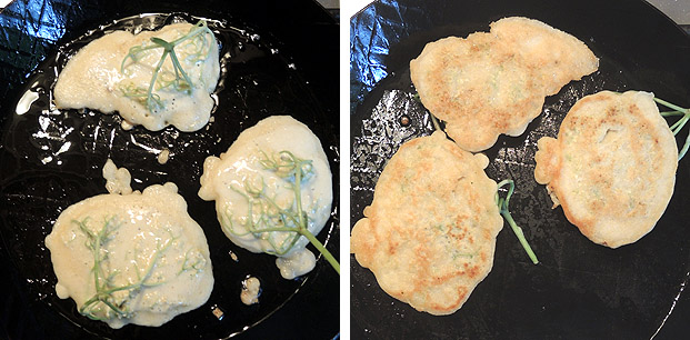 Holderküchle – elderflower pancakes – kuechenkitchen