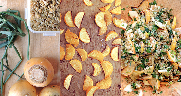 Salat mit gerösteten Butterrüben &amp; Grünkern – salad with roasted ...