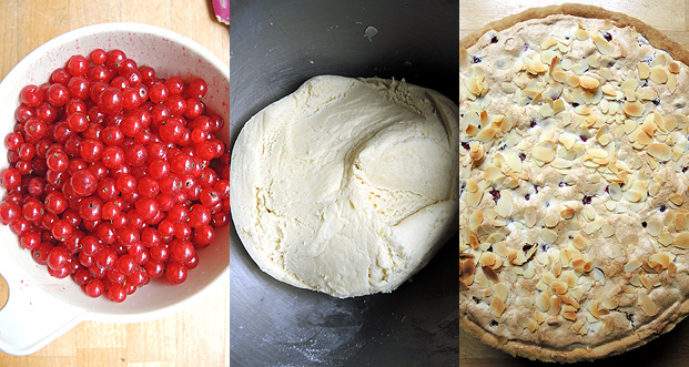 Schwäbischer Träubleskuchen – red currant cake, swabian – kuechenkitchen