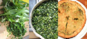 Frühlingstarte mit Kräutern – herby spring tarte