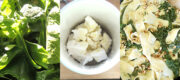 Papardelle mit cremigem Spinat – creamed spinach pasta